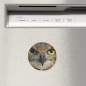Aimant Owl Eyes (In Situ (Lave-vaisselle))