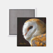 AIMANT OWLS (Recto/Verso)
