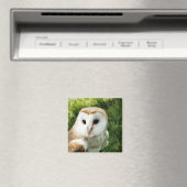 AIMANT OWLS (In Situ (Lave-vaisselle))