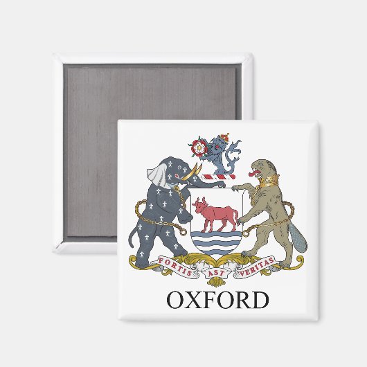 Aimant Oxford coat (Recto/Verso)