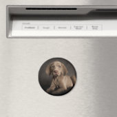 Aimant Oyeux bleus (In Situ (Lave-vaisselle))