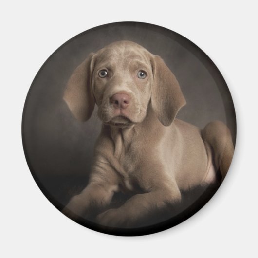 Aimant Oyeux bleus (Devant)