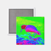 Aimant Oyster Catcher (Recto/Verso)