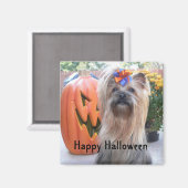 Aimant P1080884, Happy Halloween (Recto/Verso)