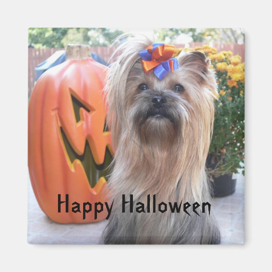 Aimant P1080884, Happy Halloween (Devant)