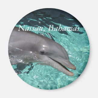 Aimant P8010404, Nassau, Bahamas