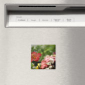 Aimant Pacifique Sud, Polynésie française, Société 2 (In Situ (Lave-vaisselle))