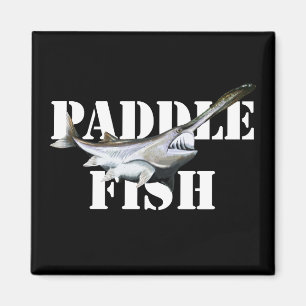 Aimant Paddle