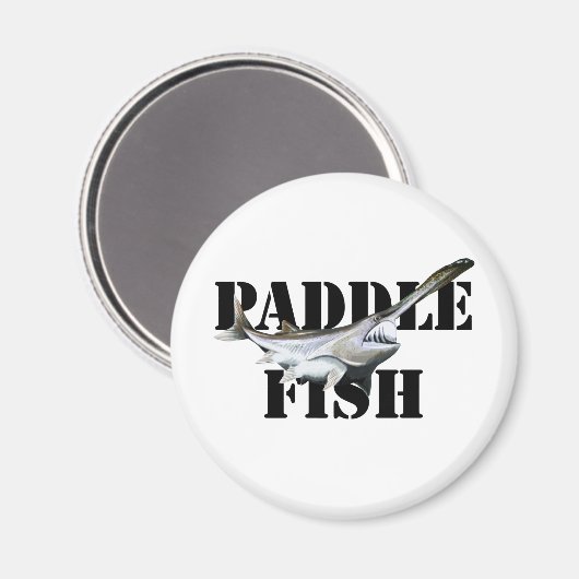 Aimant Paddle (Recto/Verso)