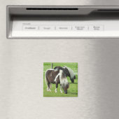 Aimant Paint Ponts Purebred Shetland (In Situ (Lave-vaisselle))