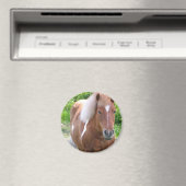 Aimant Paint Quarterhorse (In Situ (Lave-vaisselle))