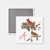 Aimant Paire cardinale Audubon en amandiers sauvages (Recto/Verso)