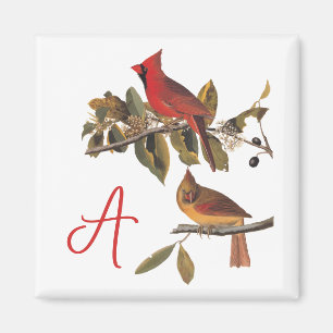 Aimant Paire cardinale Audubon en amandiers sauvages