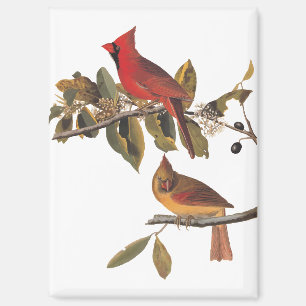 Aimant Paire cardinale Audubon en amandiers sauvages