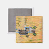 Aimant Paire de Mallards (Recto/Verso)