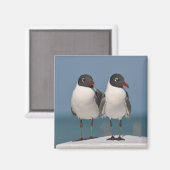 Aimant Paire de Mouettes à tête noire (Recto/Verso)