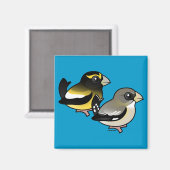 Aimant Paire Grosbeak du soir (Recto/Verso)