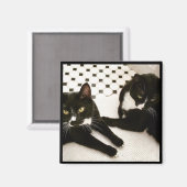 Aimant Paires d'aimant de chats de smoking (Recto/Verso)