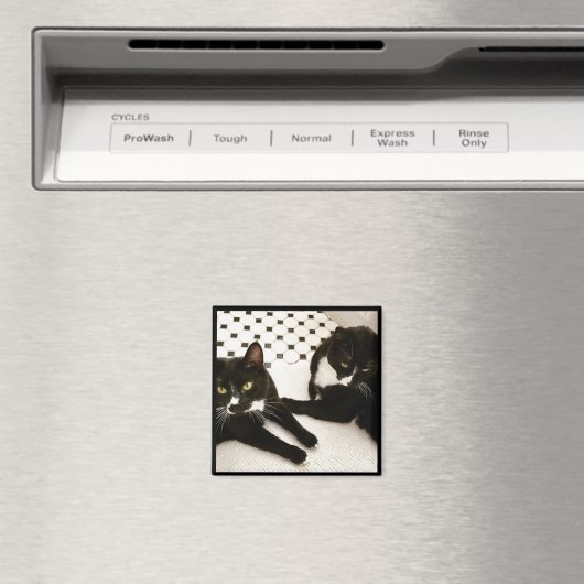 Aimant Paires d'aimant de chats de smoking (In Situ (Lave-vaisselle))