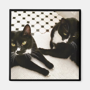 Aimant Paires d'aimant de chats de smoking