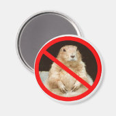 Aimant pairiedoggin (Recto/Verso)