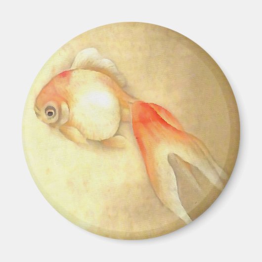 Aimant Paisible poisson rouge japonais (Devant)