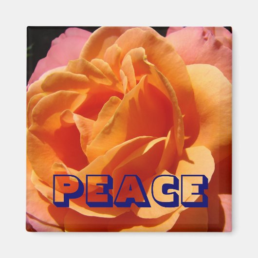 aimant PAIX Rose Orange Fleur nature (Devant)