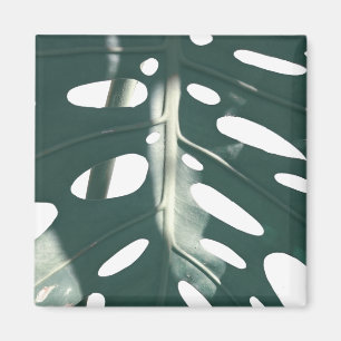 Aimant Pale Green Pastel Fromage Suisse Plante