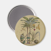 Aimant Palm Antique Fruit Tropical Art Botanique (Recto/Verso)