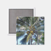 Aimant Palm de coco Oahu (Recto/Verso)