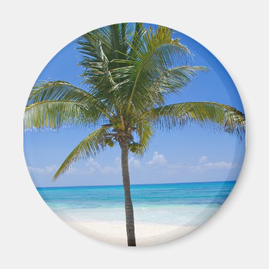 Aimant Palm des Bahamas (Devant)