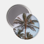 Aimant Palm Gets Moonés (Recto/Verso)