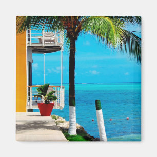 Aimant Palmier à la cour d'une Chambre par la mer