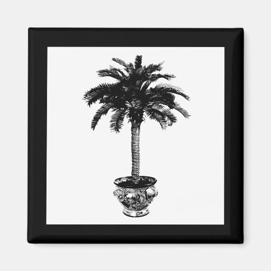 Aimant Palmier pointu - noir et blanc (Devant)