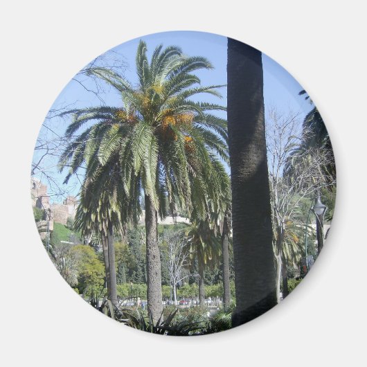 Aimant Palmiers à Malaga (Devant)