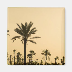 Aimant Palmiers au crépuscule, Maroc