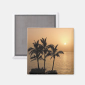 Aimant Palmiers et coucher de soleil romantique (Recto/Verso)