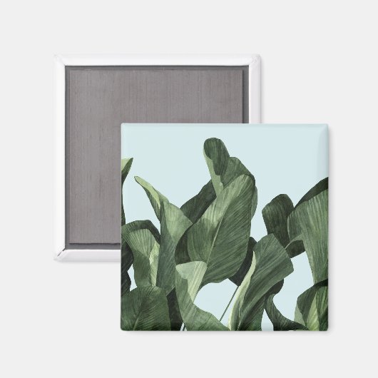 Aimant Palms Celadon (Recto/Verso)