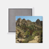 Aimant Palms perdus Oasis II au parc national de Joshua T (Recto/Verso)