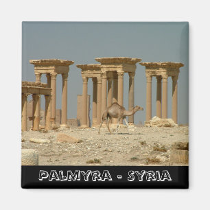 Aimant Palmyre, trésor de la Syrie n° 3 (Fridge Magnet)