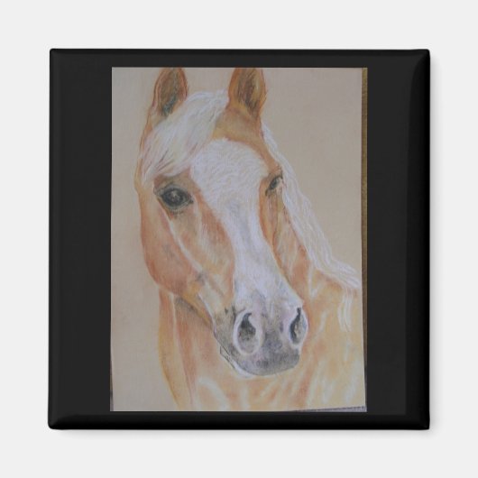 aimant palomino (Devant)