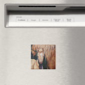 Aimant Palomino Mare avec poulain crémello (In Situ (Lave-vaisselle))