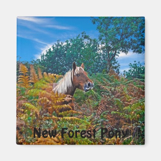 Aimant Palomino New Forest Pony Cheval-amant cadeau (Devant)
