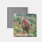 Aimant Palomino sauvage New Forest Pony & Bracken - Angle (Recto/Verso)