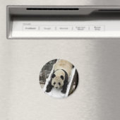 aimant panda (In Situ (Lave-vaisselle))