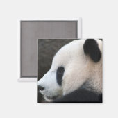 Aimant Panda (Recto/Verso)