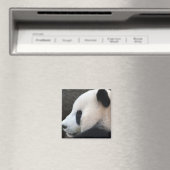 Aimant Panda (In Situ (Lave-vaisselle))