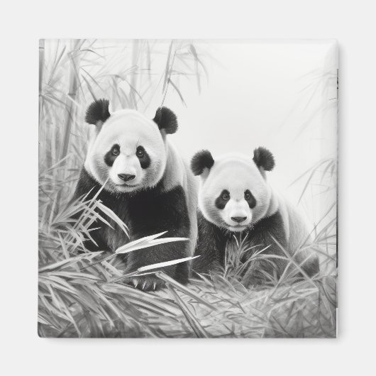 Aimant Panda Animal Discovery Wild Nature Enk croquis Art (Devant)