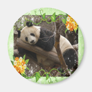 Aimant panda-bébé-00018-85x85