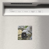 Aimant Panda géant (In Situ (Lave-vaisselle))